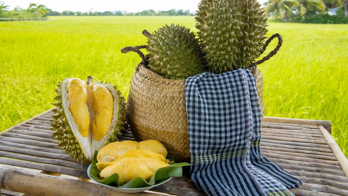 Giải pháp cải thiện tình trạng